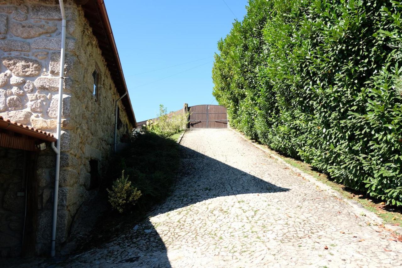 Casa Das Andorinhas Celorico De Basto Εξωτερικό φωτογραφία