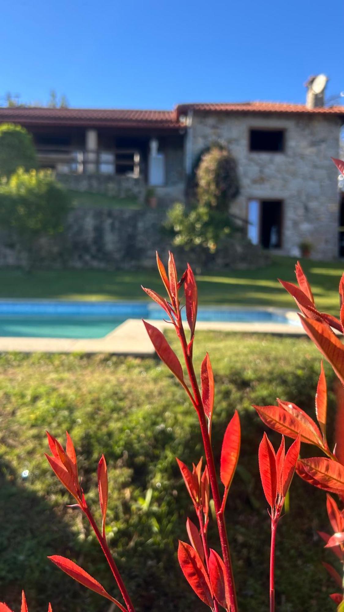 Casa Das Andorinhas Celorico De Basto Εξωτερικό φωτογραφία